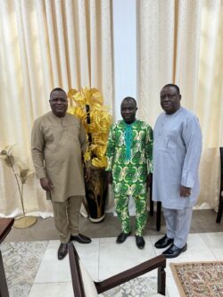 Audience accordée par le président de l'Assemblée Nationale en présence du président du groupe parlementaire UP - R