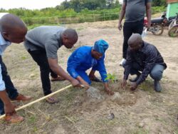 Le DG ATDA 6 plantant le manguier souvenir lors de sa visite officielle